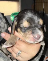 processed/42b87e3d-343f-4ea6-a840-f9e7ea3b97b7/listing/b78a746e-9032-4e3f-9b38-34eda3b0e787/1a431440-0149-4099-b3ac-e94af231a669