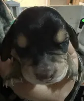 processed/42b87e3d-343f-4ea6-a840-f9e7ea3b97b7/listing/b78a746e-9032-4e3f-9b38-34eda3b0e787/a6f4434d-2c5e-48a2-9d3f-78a9165dd5af