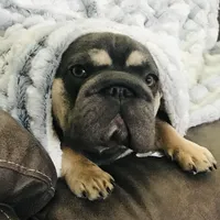 processed/42b8dc22-5014-45e3-9353-74221d96a6e1/facility/09d8a650-345f-4ef6-9043-0d53234de4eb