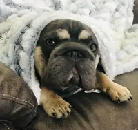 processed/42b8dc22-5014-45e3-9353-74221d96a6e1/facility/09d8a650-345f-4ef6-9043-0d53234de4eb