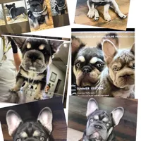 processed/42b8dc22-5014-45e3-9353-74221d96a6e1/facility/0c749773-45c5-4627-a49c-095e60c14229