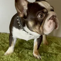 processed/42b8dc22-5014-45e3-9353-74221d96a6e1/facility/4d5f4fb4-7ad0-4ec5-9c84-bbbcfdb5c5f9