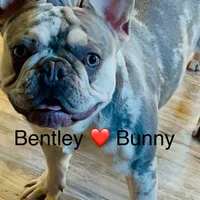 processed/42b8dc22-5014-45e3-9353-74221d96a6e1/facility/5fb21204-83eb-4a84-88bd-c50dc536a325