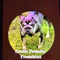 processed/42b8dc22-5014-45e3-9353-74221d96a6e1/facility/747d29c2-7a64-4815-bff5-5a2272bc11dd