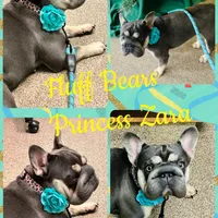 processed/42b8dc22-5014-45e3-9353-74221d96a6e1/facility/933146cf-8740-44d7-b06a-fd634e760753