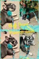 processed/42b8dc22-5014-45e3-9353-74221d96a6e1/facility/933146cf-8740-44d7-b06a-fd634e760753