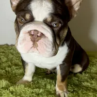 processed/42b8dc22-5014-45e3-9353-74221d96a6e1/facility/9f379138-e516-40ed-99c3-dedd2bf06cc2