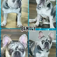 processed/42b8dc22-5014-45e3-9353-74221d96a6e1/facility/c685dd86-b457-4b1f-8c1f-16a98aa9f69d