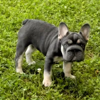 processed/42b8dc22-5014-45e3-9353-74221d96a6e1/facility/cbd16ebc-3a02-435f-8a9c-83550355dec8