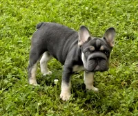 processed/42b8dc22-5014-45e3-9353-74221d96a6e1/facility/cbd16ebc-3a02-435f-8a9c-83550355dec8