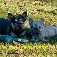 processed/42b8dc22-5014-45e3-9353-74221d96a6e1/facility/ea2cf55c-2fb9-4214-bee1-3fac90e79732