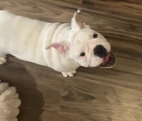 processed/42c31b9f-15c7-44f0-bd91-32e7a1868175/listing/a7a9e6b1-7791-4361-b05d-5f5e3ac65336/09d9c099-4254-4178-ac2e-390e4c175601