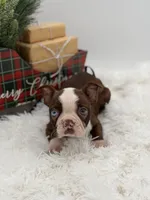 processed/42ca77ae-922f-4726-9a1e-37820b557ab6/listing/f0c074c2-d45e-4b13-a93d-7b9196ad1ba3/0e64a925-4fdb-42c1-84ad-ddbebfe86494