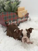 processed/42ca77ae-922f-4726-9a1e-37820b557ab6/listing/f0c074c2-d45e-4b13-a93d-7b9196ad1ba3/2a608156-865c-4dbf-ad5d-c6604e84c4f3