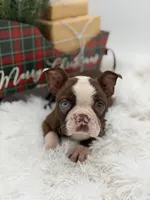 processed/42ca77ae-922f-4726-9a1e-37820b557ab6/listing/f0c074c2-d45e-4b13-a93d-7b9196ad1ba3/3c91948b-9093-4849-a0af-9e15fdc43600