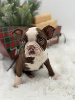 processed/42ca77ae-922f-4726-9a1e-37820b557ab6/listing/f0c074c2-d45e-4b13-a93d-7b9196ad1ba3/53b351f3-0b08-468b-a541-58561664842d