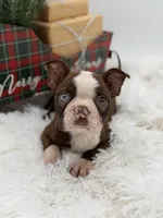 processed/42ca77ae-922f-4726-9a1e-37820b557ab6/listing/f0c074c2-d45e-4b13-a93d-7b9196ad1ba3/5f252a83-4181-4135-88b7-6e142a04ec12