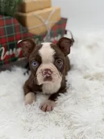 processed/42ca77ae-922f-4726-9a1e-37820b557ab6/listing/f0c074c2-d45e-4b13-a93d-7b9196ad1ba3/5feca1d7-0fb8-4d3e-b8cf-942ea42e9cc9