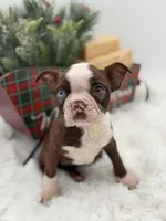 processed/42ca77ae-922f-4726-9a1e-37820b557ab6/listing/f0c074c2-d45e-4b13-a93d-7b9196ad1ba3/8bacd716-7c59-4742-9874-cbbb42d20e2d