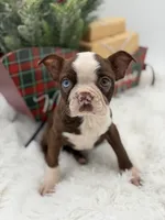 processed/42ca77ae-922f-4726-9a1e-37820b557ab6/listing/f0c074c2-d45e-4b13-a93d-7b9196ad1ba3/b8323593-fc3d-4915-b048-1205ed9cfb4e