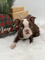 processed/42ca77ae-922f-4726-9a1e-37820b557ab6/listing/f0c074c2-d45e-4b13-a93d-7b9196ad1ba3/eb0f57c5-6db2-4685-9ce3-c5d69aa00685