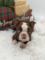 processed/42ca77ae-922f-4726-9a1e-37820b557ab6/listing/f0c074c2-d45e-4b13-a93d-7b9196ad1ba3/ec8189d2-2942-42f7-9394-0409f4bebb72