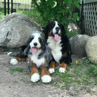 processed/42cd8d68-7c66-4002-a025-fd90b5d9a33c/facility/2b99ffcb-e6ec-4f8c-8fef-bf00e9b59f89