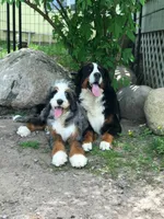 processed/42cd8d68-7c66-4002-a025-fd90b5d9a33c/facility/2b99ffcb-e6ec-4f8c-8fef-bf00e9b59f89