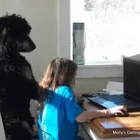 processed/42cd8d68-7c66-4002-a025-fd90b5d9a33c/facility/494db187-eb80-4479-9bde-939d64b5bc0a