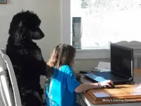 processed/42cd8d68-7c66-4002-a025-fd90b5d9a33c/facility/494db187-eb80-4479-9bde-939d64b5bc0a