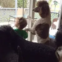 processed/42cd8d68-7c66-4002-a025-fd90b5d9a33c/facility/7bc4a790-d3d5-4bd8-be8f-b01afe7db390