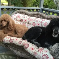 processed/42cd8d68-7c66-4002-a025-fd90b5d9a33c/facility/979f7ef3-6d10-4f2b-8175-ee246a344983