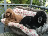 processed/42cd8d68-7c66-4002-a025-fd90b5d9a33c/facility/979f7ef3-6d10-4f2b-8175-ee246a344983