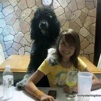 processed/42cd8d68-7c66-4002-a025-fd90b5d9a33c/facility/a9f3ffd3-d695-4d12-9727-5ffef7ecf397