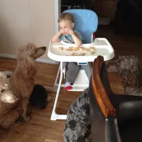 processed/42cd8d68-7c66-4002-a025-fd90b5d9a33c/facility/c11df6ed-9a1e-4214-9ed5-2dd0473ec081