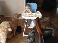 processed/42cd8d68-7c66-4002-a025-fd90b5d9a33c/facility/c11df6ed-9a1e-4214-9ed5-2dd0473ec081