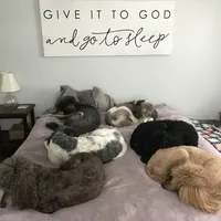 processed/42cd8d68-7c66-4002-a025-fd90b5d9a33c/facility/c36709df-68cf-49ad-869a-e4e99ed727e8