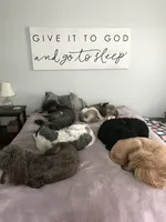 processed/42cd8d68-7c66-4002-a025-fd90b5d9a33c/facility/c36709df-68cf-49ad-869a-e4e99ed727e8