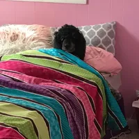 processed/42cd8d68-7c66-4002-a025-fd90b5d9a33c/facility/c8650957-40d0-46b2-a292-b15f1e633625