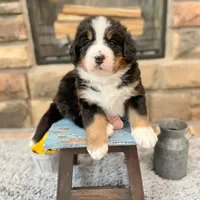 processed/42cd8d68-7c66-4002-a025-fd90b5d9a33c/facility/fa1d5cfc-4739-47ac-a3ae-a75a60aa2c34