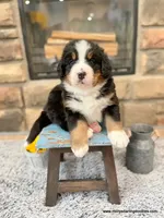 processed/42cd8d68-7c66-4002-a025-fd90b5d9a33c/facility/fa1d5cfc-4739-47ac-a3ae-a75a60aa2c34