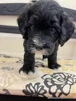 processed/42cd8d68-7c66-4002-a025-fd90b5d9a33c/listing/8790e463-ec16-4df9-b637-bb16207a0484/09491ece-48dc-4dcc-a220-251facf9f5b9