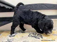 processed/42cd8d68-7c66-4002-a025-fd90b5d9a33c/listing/8790e463-ec16-4df9-b637-bb16207a0484/0965ea66-147e-4ed7-b2d2-62da9bc8493a