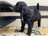 processed/42cd8d68-7c66-4002-a025-fd90b5d9a33c/listing/8790e463-ec16-4df9-b637-bb16207a0484/5fc35101-4968-4084-919a-92f83f409254