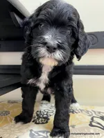 processed/42cd8d68-7c66-4002-a025-fd90b5d9a33c/listing/8790e463-ec16-4df9-b637-bb16207a0484/76cf0881-01ab-4ca3-9c84-1c42ce164b60