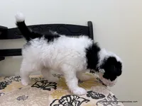 processed/42cd8d68-7c66-4002-a025-fd90b5d9a33c/listing/8d6dc90e-0d12-4b91-b5c8-c802095da703/0bd640a1-b9b9-4652-ba27-9165c526f02e