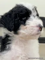 processed/42cd8d68-7c66-4002-a025-fd90b5d9a33c/listing/8d6dc90e-0d12-4b91-b5c8-c802095da703/325ff850-05c3-495a-b347-0d643139d0f4