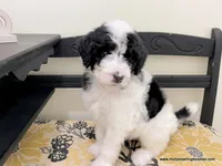 processed/42cd8d68-7c66-4002-a025-fd90b5d9a33c/listing/8d6dc90e-0d12-4b91-b5c8-c802095da703/50c8caf8-79ad-4313-8c19-25ffa7498172