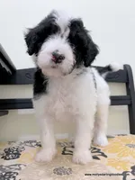 processed/42cd8d68-7c66-4002-a025-fd90b5d9a33c/listing/8d6dc90e-0d12-4b91-b5c8-c802095da703/6370d7bd-1dbe-43e8-aa46-af97ec8cfc79