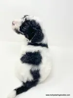 processed/42cd8d68-7c66-4002-a025-fd90b5d9a33c/listing/8d6dc90e-0d12-4b91-b5c8-c802095da703/9115e024-cbbb-4de4-b322-4461012a5dc5